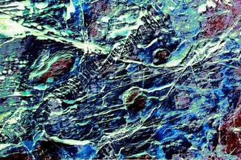 AP 176A1